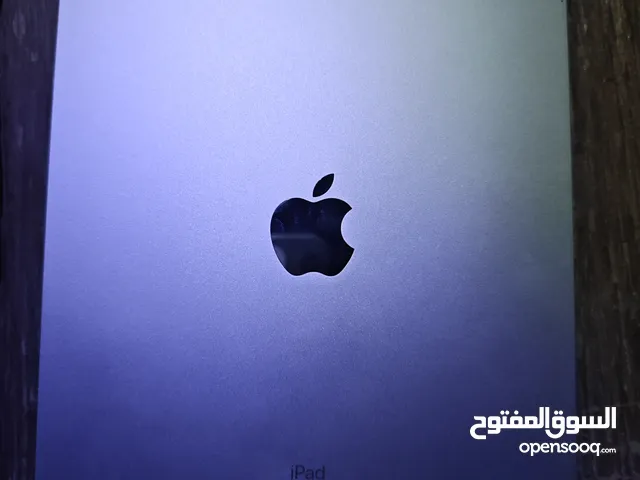 iPad 11 Pro Wi-Fi Plus cellular