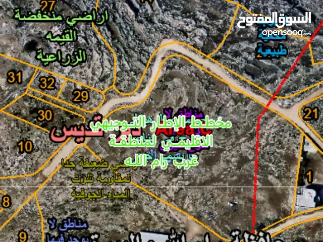 Farm Land for Sale in Ramallah and Al-Bireh Other