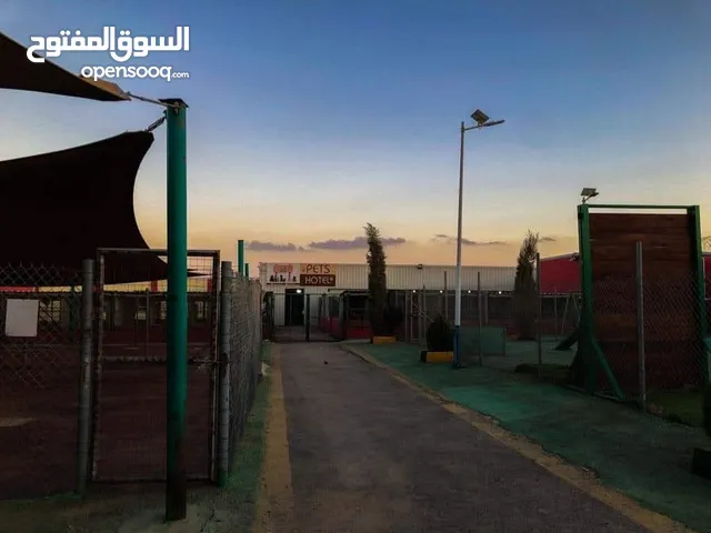 احجز لاقامه كلبك وراحته .في حال سفرك او انشغالك بفرعينا