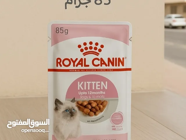 اكل قطط صغار متوفر اربع حبات التواصل على الواتس اب
