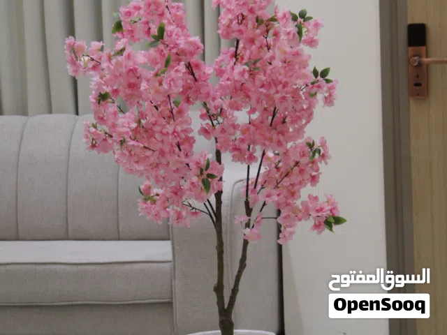 ورد داخلي جميل