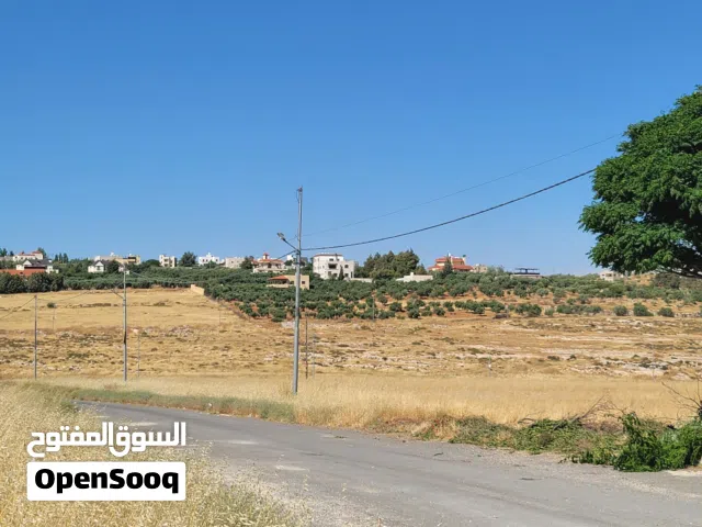 Residential Land for Sale in Amman Naour