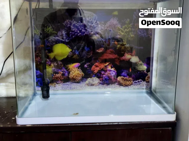 حوض اسماك كبير لمس