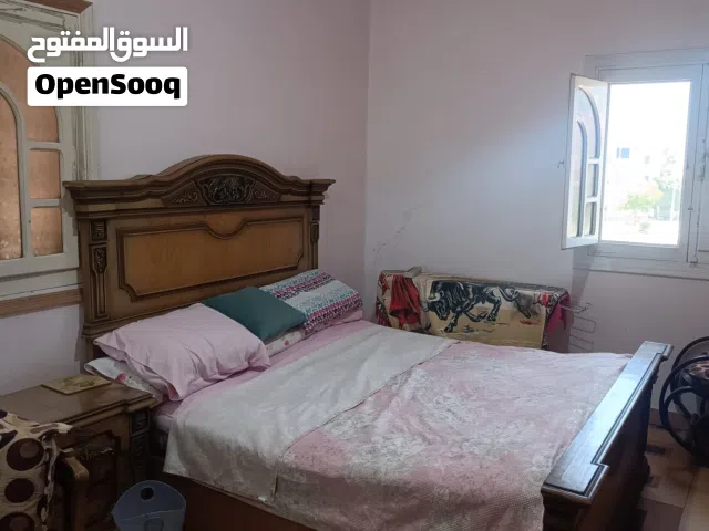 Furnished Daily in Port Said Sharq District