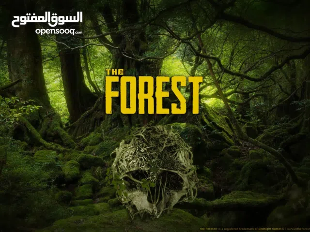 حسابين the forest