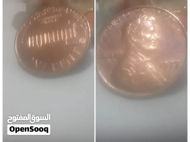 ايجيبت فور لاين