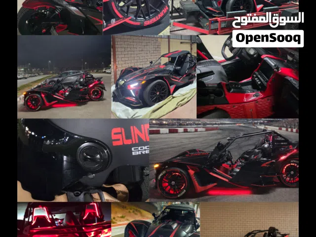 2020 بولاريس اخرى