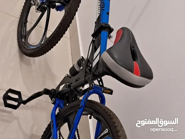 Foldable Bicycle