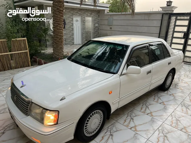 راس الثور تكم ابيضّ