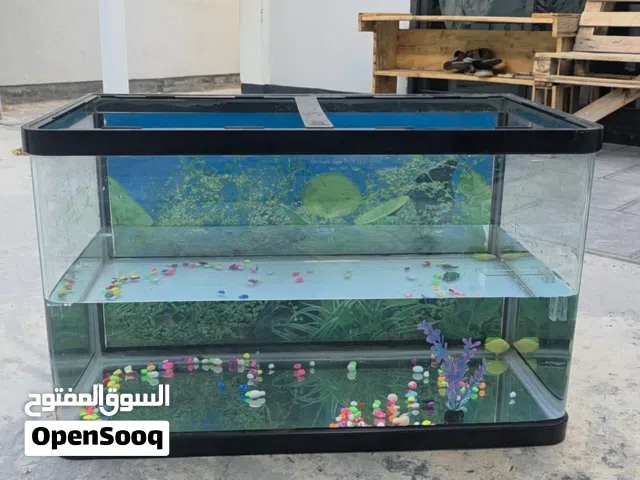 fish tank size 80+45