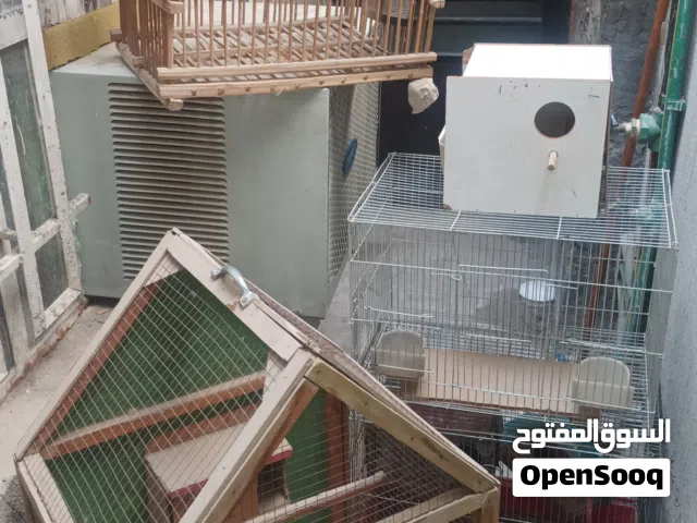 أقفاص للبيع