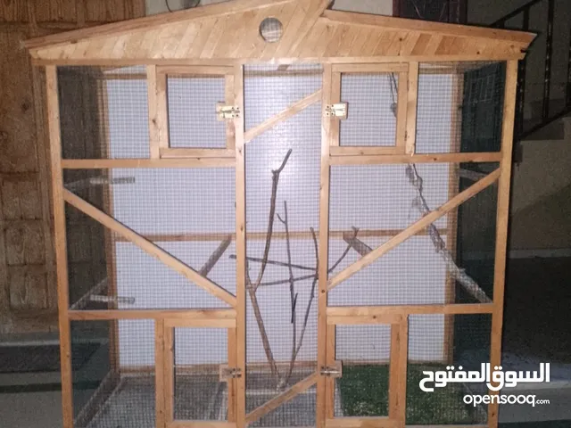 السلام عليكم