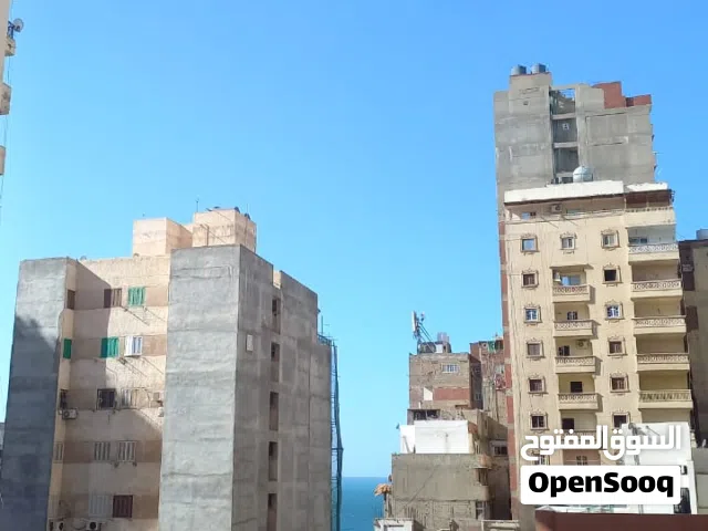 200 m2 3 Bedrooms Apartments for Rent in Alexandria Miami