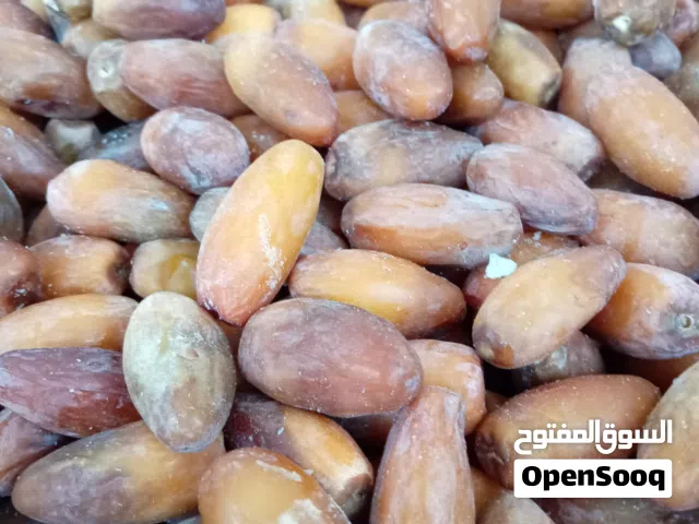 تمر دقلة نور.. ودان