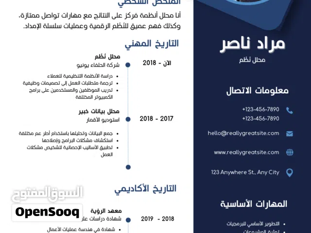 سيرة ذاتية احترافية 90جنيه فقط لأول 10اشخاص