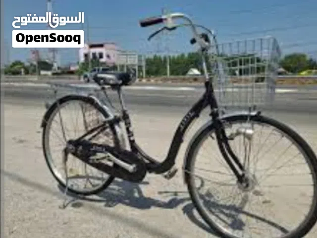 Excellent bicycle. No expenses required. Used lightly for my personal use. It's inexpensive for me.
