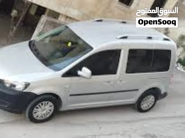 كادي مديل 2013