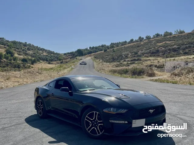 Ford Mustang 2019 Ecoboost 2.3 10 speed Low mileage
