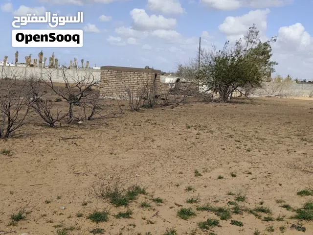 هكتار و 2000 متر في خلة