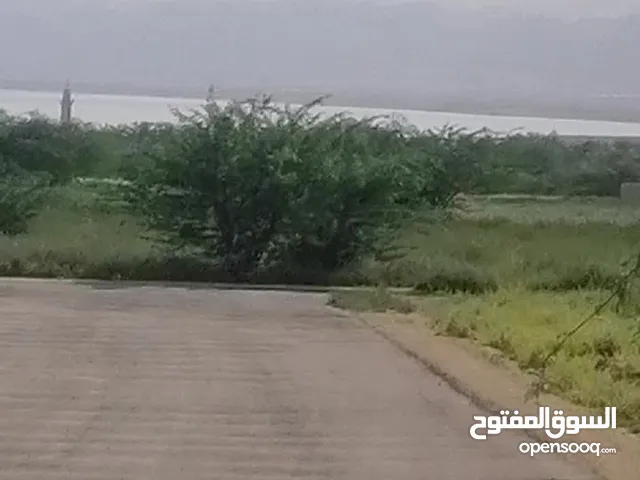 قطعة أرض في منطقة البحر الميت قرب منتجع البحيرة للبيع مساحتها 1900