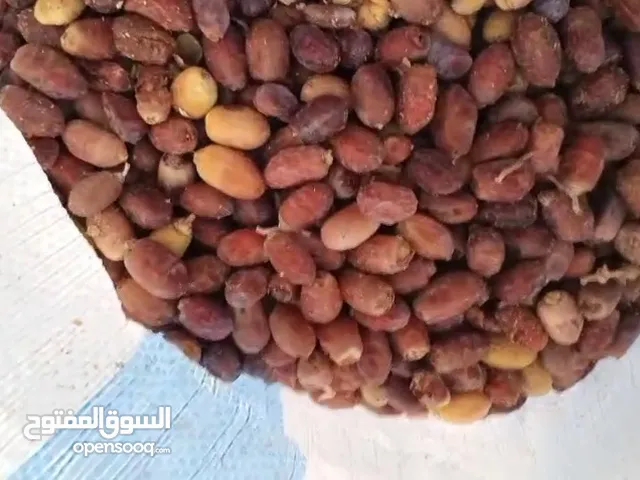 تمر ساير علف للمواشي