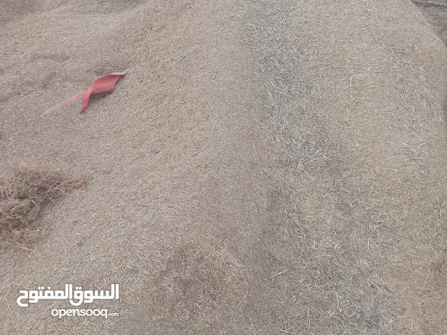 ازززززززززززززز