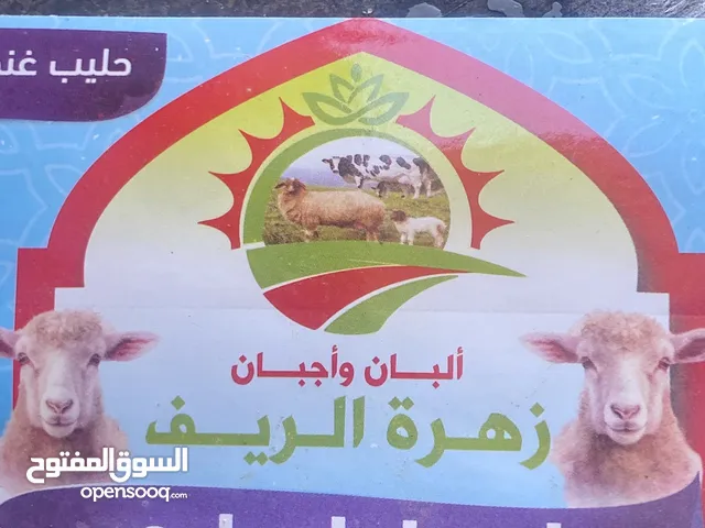 حليب غنم للبيع و رايب غنم