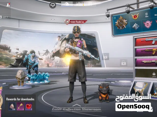 Pubg Accounts and Characters for Sale in Hebron