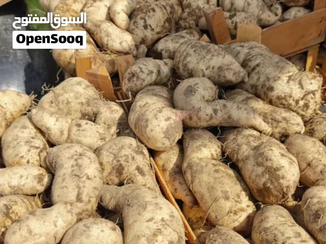 فندال للبيع جمله