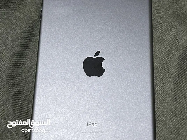 Apple iPad Mini 5 256 GB in Ibb