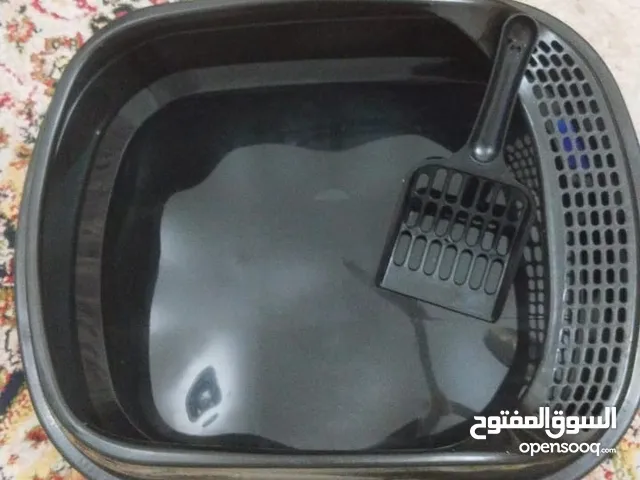 اغراض قطط جديدة وجيدة