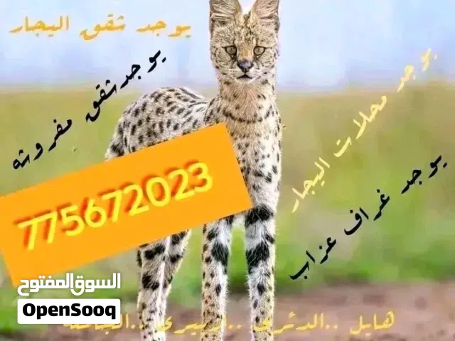 Unfurnished Monthly in Sana'a Hayel St.
