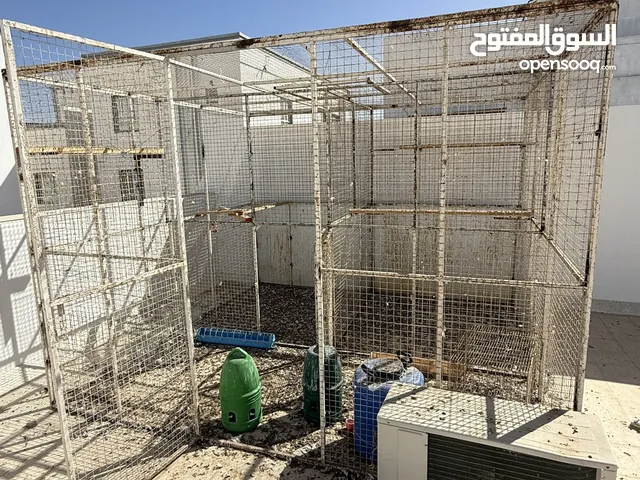 قفص كبير ومحاكر للبيع