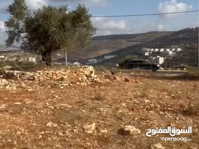 Residential Land for Sale in Ramallah and Al-Bireh Birzeit
