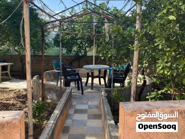فرصة ذهبية لامتلاك بيت العمر في قلب الأغوار الأردنية