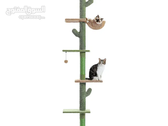 Adjustable Cactus Cat tree!