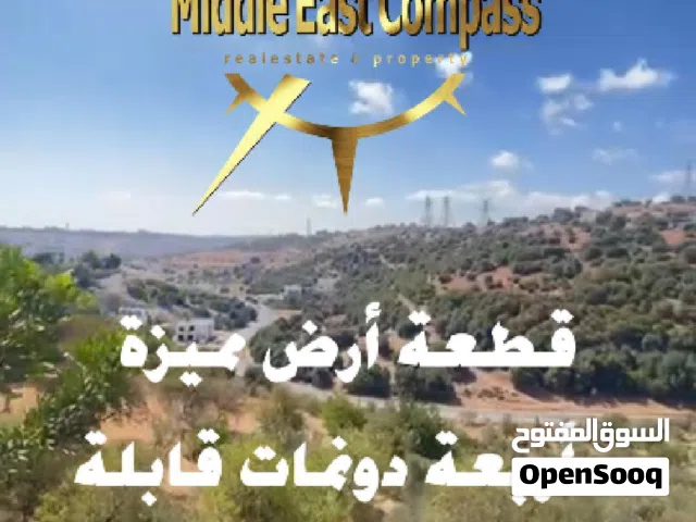 Residential Land for Sale in Amman Dabouq