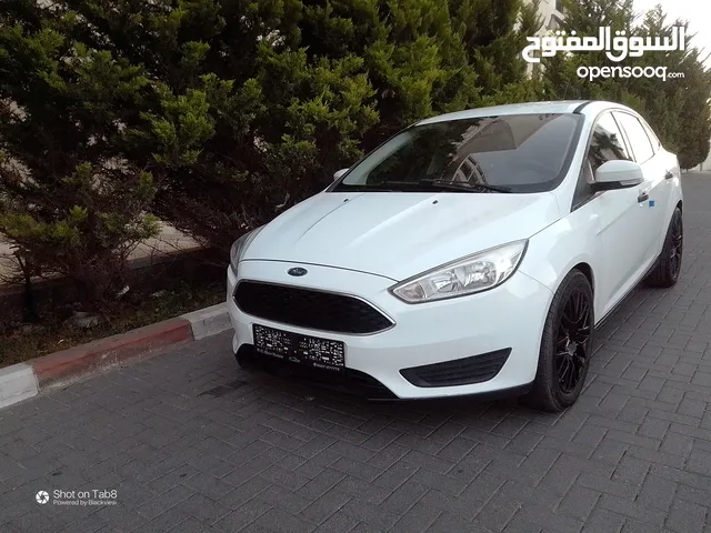 New Ford Focus in Ramallah and Al-Bireh