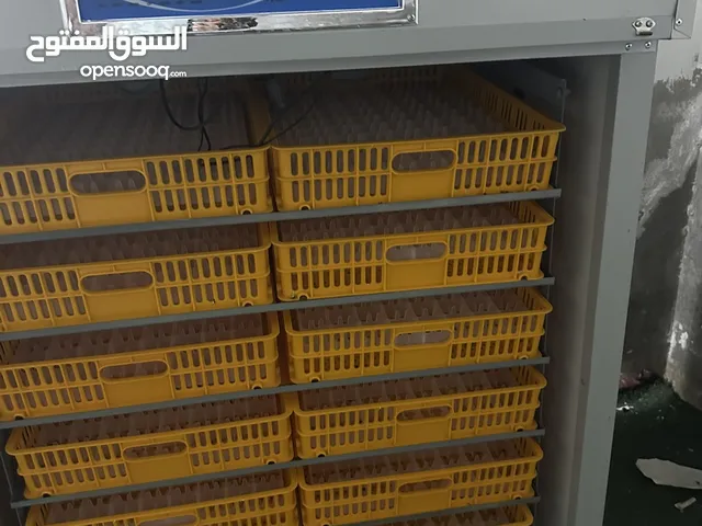1056 incubator for sale