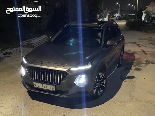 سنتافي 2019 فل فل الفل