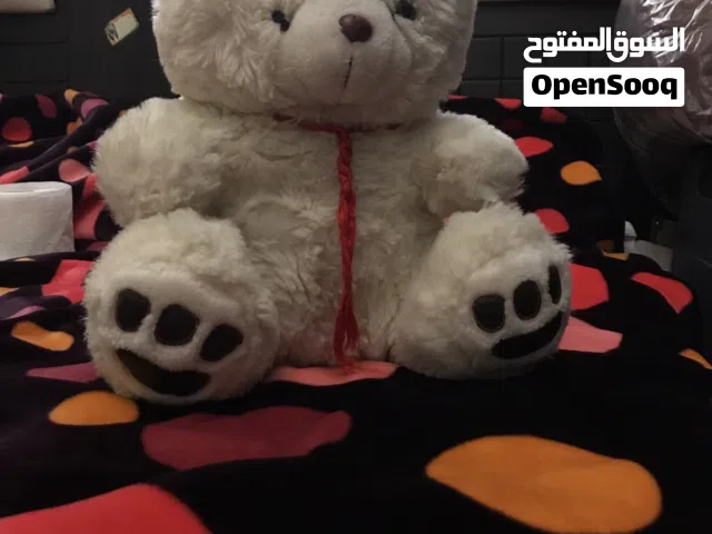 جرب دب هلو ب عشره شيكل