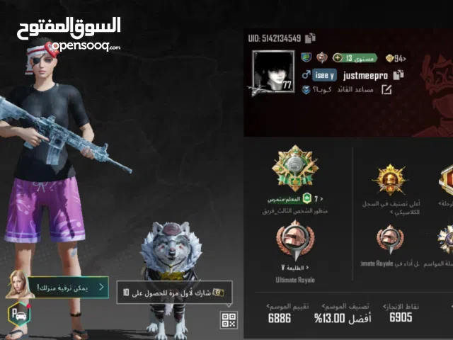 Pubg Accounts and Characters for Sale in Tripoli