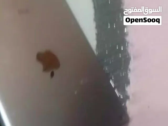 Apple iPad 3 512 GB in Tripoli