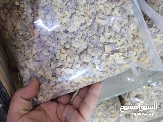 متوفر عندي لبان الحوجري لبان عماني 100% مال صلاله سعر كيلو فقط 3 ريالات يوجد توصيل لجميع ولايات