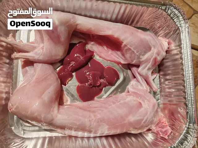 للبيع ارانب وحمام مذبوحات تابع الوصف