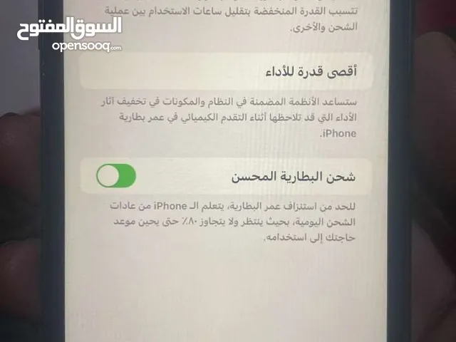 Apple iPhone 11  in Mafraq