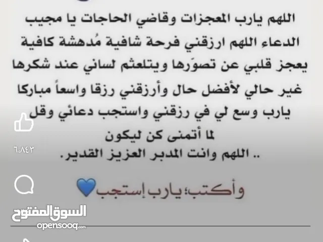 شركات للبيع