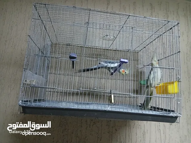 كوبيه كوكتيل للبيع