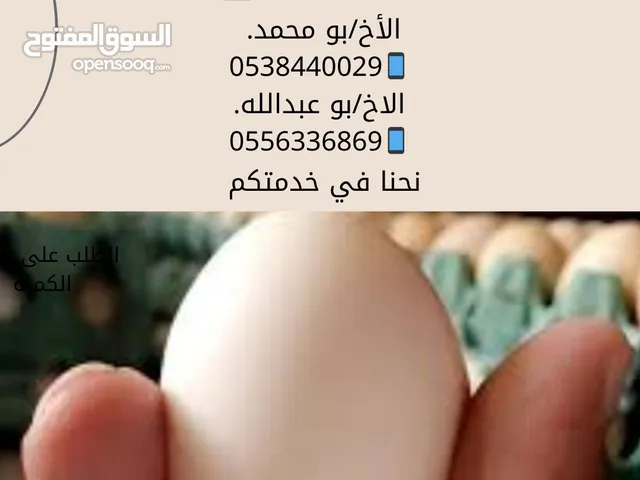 اعلان الدواجن