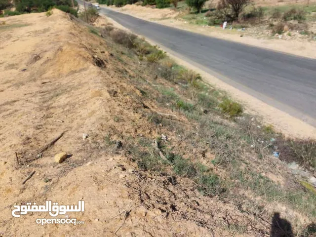 قطعة أرض للبيع في فلفول غنيمة